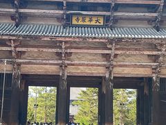 -奈良公园