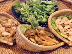 -滇野云南野生菌餐厅(陕西南路店)