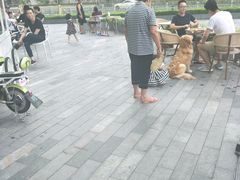 -奈雪的茶(南山大冲一期店)