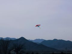 -君乐宝优致牧场