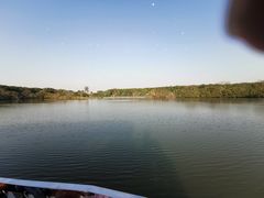 -大湾区中央湿地公园
