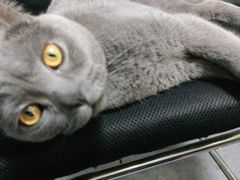 -安安宠医·安宠宠物医院