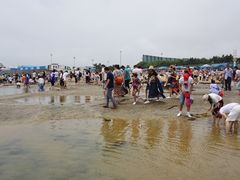 -日照灯塔风景区