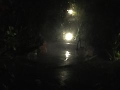 -龙山酒店温泉