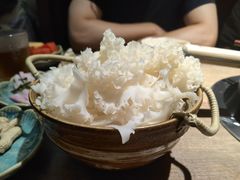 -蘑界·野生菌火锅(深业上城店)