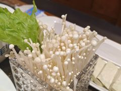-蒙都43°9羊火锅(平庄店)