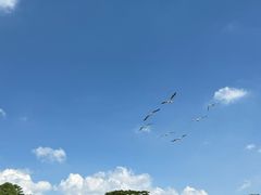 -深圳野生动物园