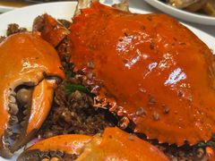 -喜记避风塘炒辣蟹(旗舰店)