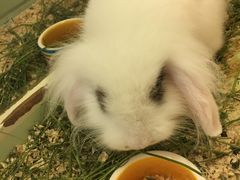 -龙猫仔乐园(惠福东路店)