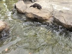 -宁波野生动物园