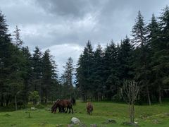 -硗碛藏寨·神木垒景区