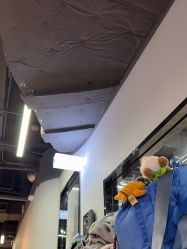-PHOENIX舞蹈工作室