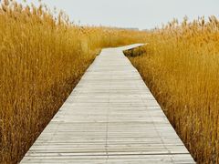 -野鸭湖国家湿地公园