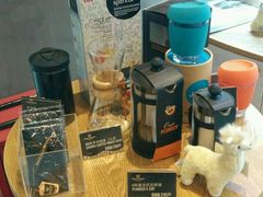 -Gloria Jean's Coffees