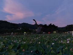 -红山村