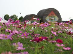 -嘉北郊野公园
