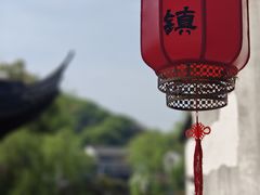 -鲁镇