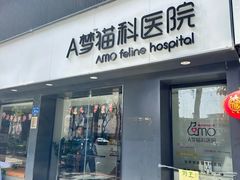 -御宝贝·A梦猫科宠物医院(国际猫友好医院)