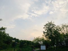 -东郊湿地公园
