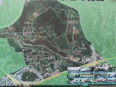 -广西壮族自治区药用植物园