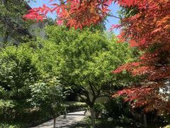 -郑和公园