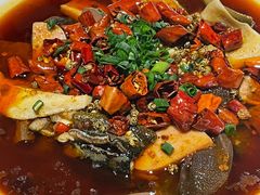 渝信毛血旺-渝信川菜(华盛店)