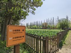 -前小桔亲子创意农场·草莓采摘·露营烧烤