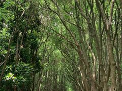 -同里国家湿地公园