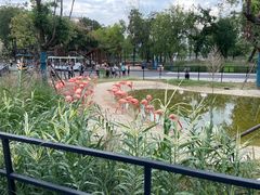 -武汉动物园