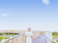 -春花秋色城市公园