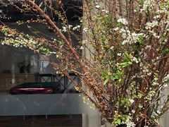 -悦哉·派对·草坪婚礼·围炉煮茶(三圣乡店)