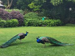 -J Create城市露营咖啡·简餐·宠物(上海动物园店)