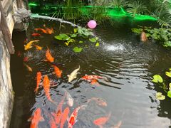 -凤凰山斑鱼馆(恭城店)