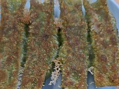 -众品老方子锅贴甜沫(李村店)