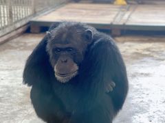 -哈尔滨北方森林动物园