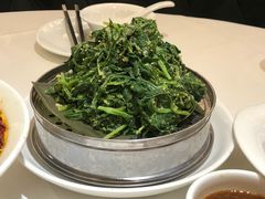 -金春禧(世茂国际广场店)