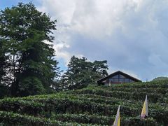 -姑婆山旅游区