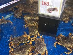 -盒马鲜生(莱蒙都会店)