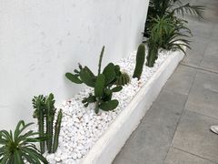 -凤城·食都
