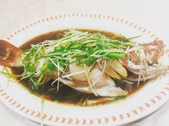 -凤城礼记鱼翅海鲜酒家(新马路总店)