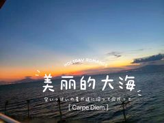 -七鲜渔港美食餐厅(巽寮湾海景店)