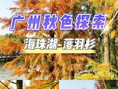-海珠湖公园