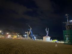 -大梅沙海滨公园