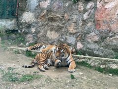 -栾川竹海野生动物园