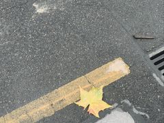 -武汉知音号