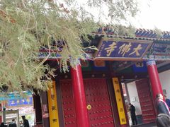 -张掖大佛寺景区