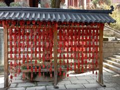 -卓刀泉寺