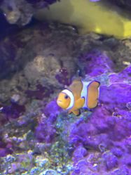 -Zoolung Zoolung动物主题公园(海信广场店)