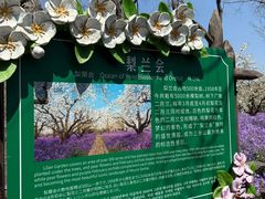 -江苏三台山国家森林公园