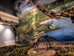 -自贡恐龙博物馆